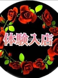 ひめか