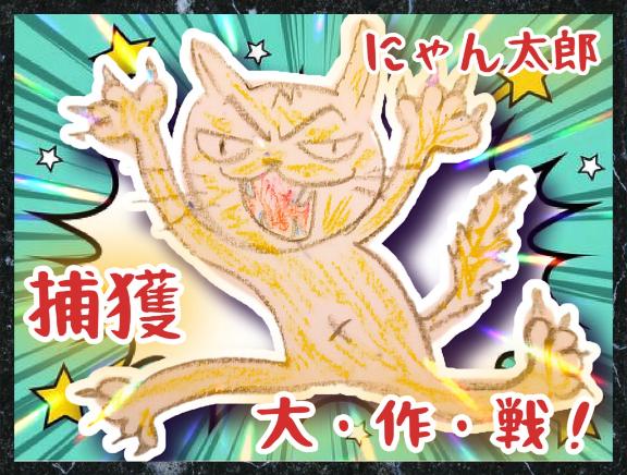 カヨ の 【にゃん太郎☆捕獲、大作戦】〜当日〜
