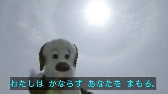 タオ の 訂正！！！