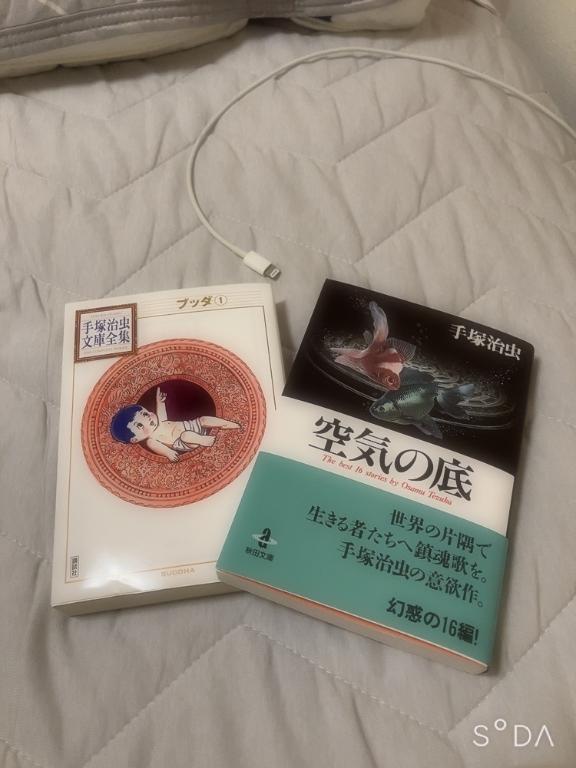森 の シフト出したよ〜　森