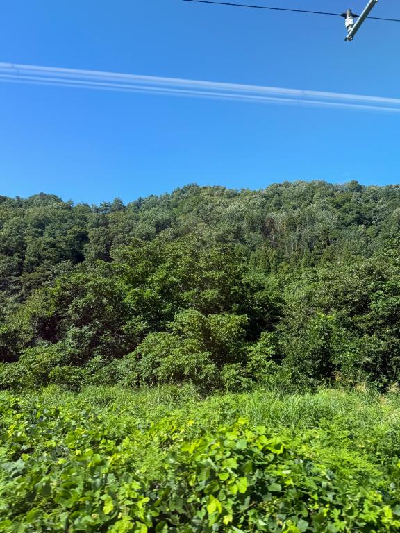 莉子【りこ】 の 自然に癒されるひととき