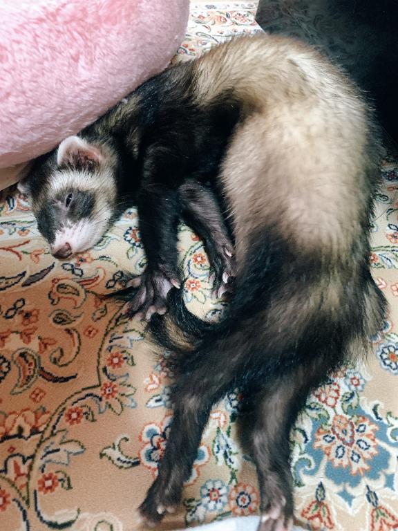 みずき の 💗ときめきメモリアル💗