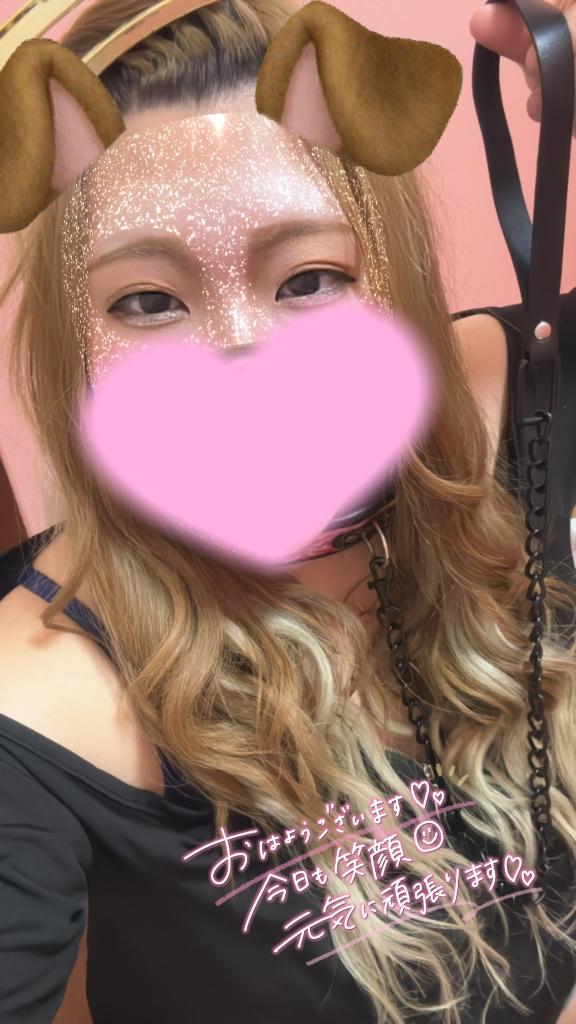 いるか の おはまる🐬