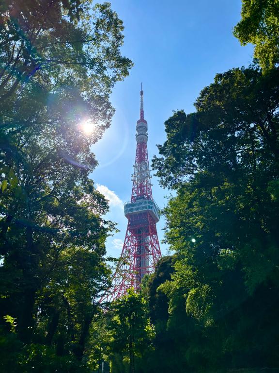 森山ののか の プチ