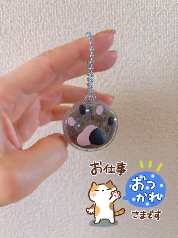 田中とわ の け・ケ・毛*:..｡