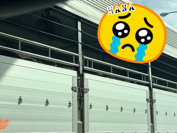 宇佐美　華 の 複雑な気持ち🥺