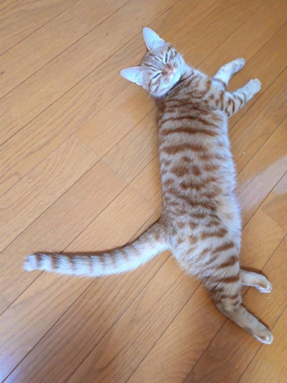 桜井りょうこ の 今日の横浜は。。。。