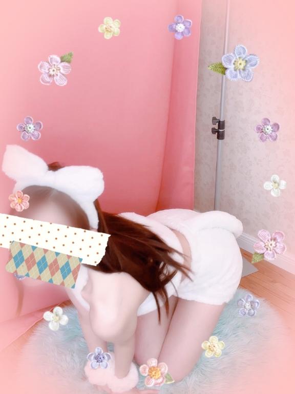 なぎさ の にゃぎさにゃん🐈🐾
