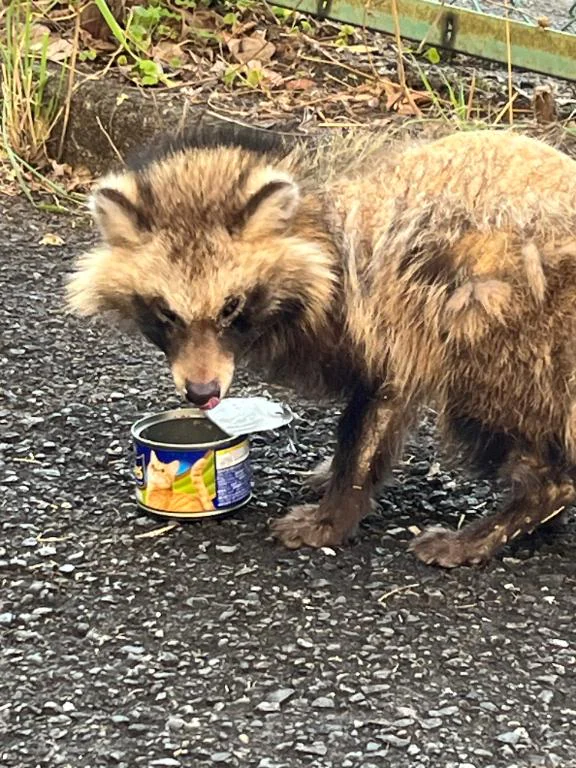 みりあ 昨日も今日もありがとう！