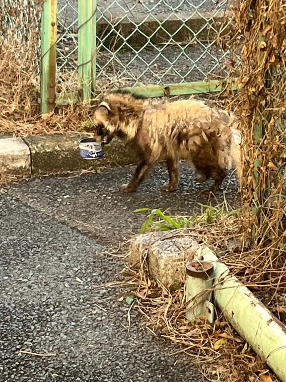 みりあ こんばんはー！