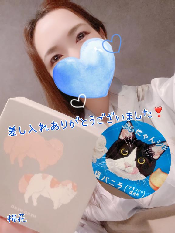 桜花 の ふぃにゃんしぇ🐾