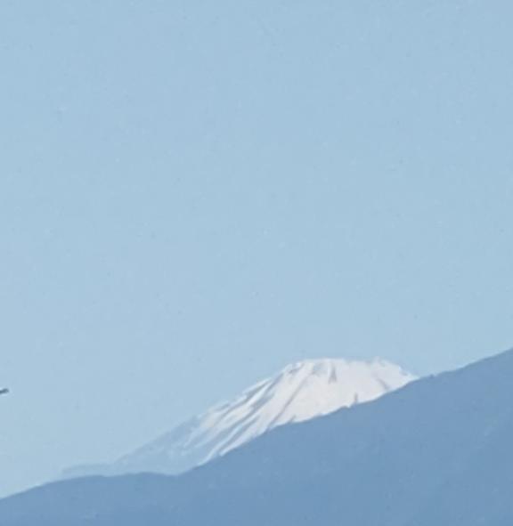 はるひ の こんにちわ