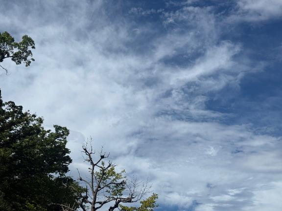 わか の おはようございます♡