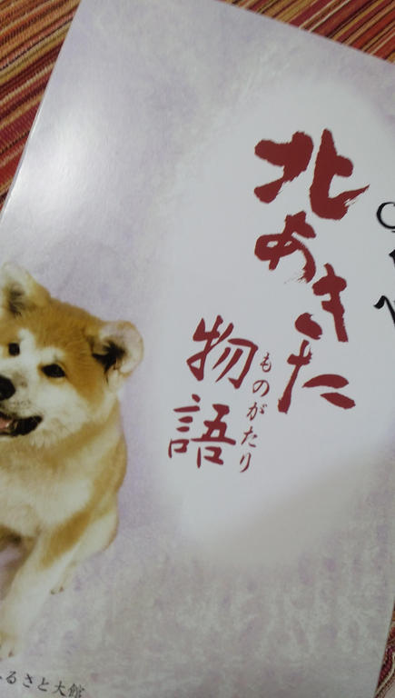 しずか の おはようございます。