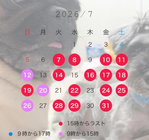 Kurara の 7月の予定です✨