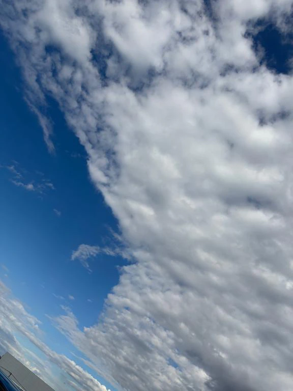 いい天気☀️.°