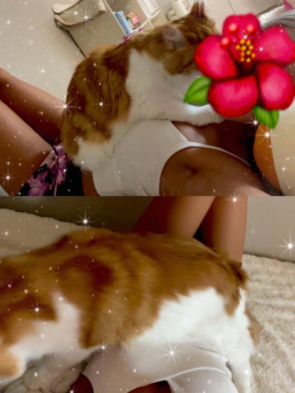 ひなた の 立場が下らしい😻😻😻w