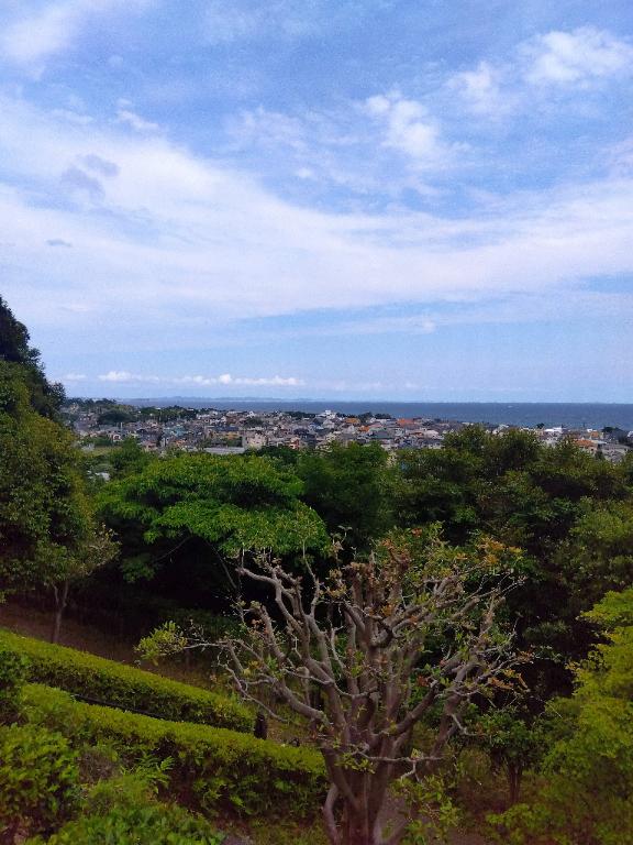 長山 の 🩷こんばんわ🩷