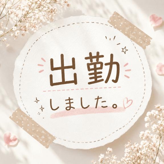小島 の 本日も…‎🤍