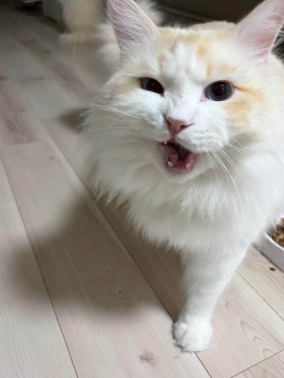 なこ の 今日も🎶
