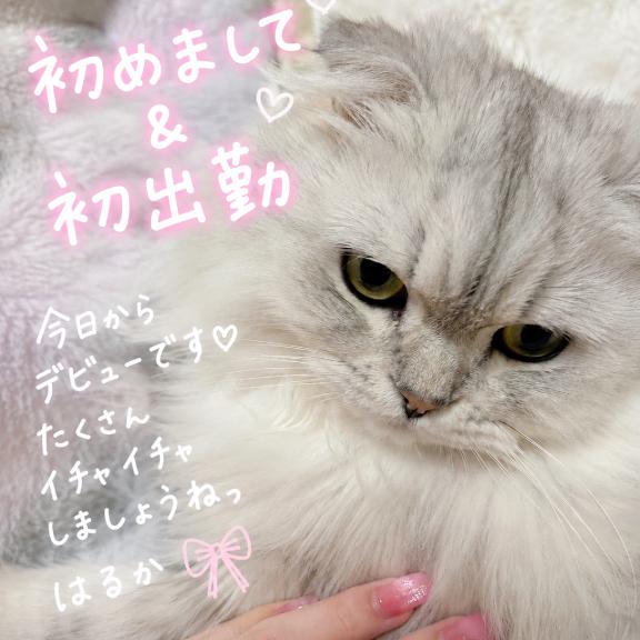 二階堂はるか の 初出勤っ