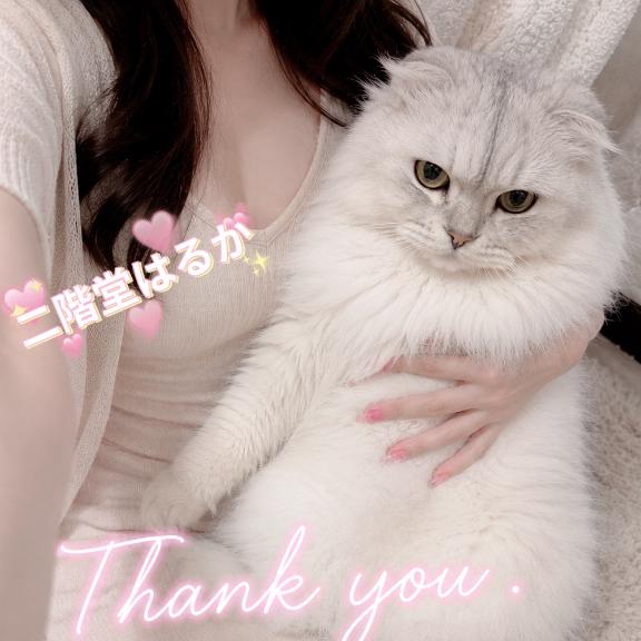 二階堂はるか の Thank you ♡