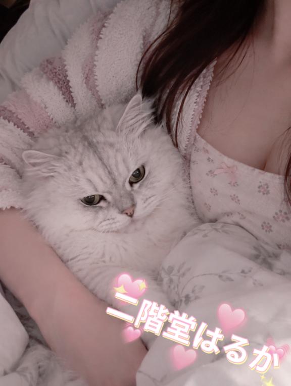 二階堂はるか の 3日目✨