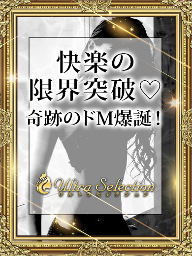 織姫てん のプロフィール写真