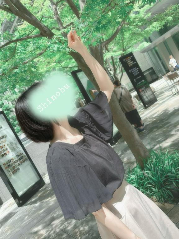 佐々木しのぶ の 風まかせ🥰