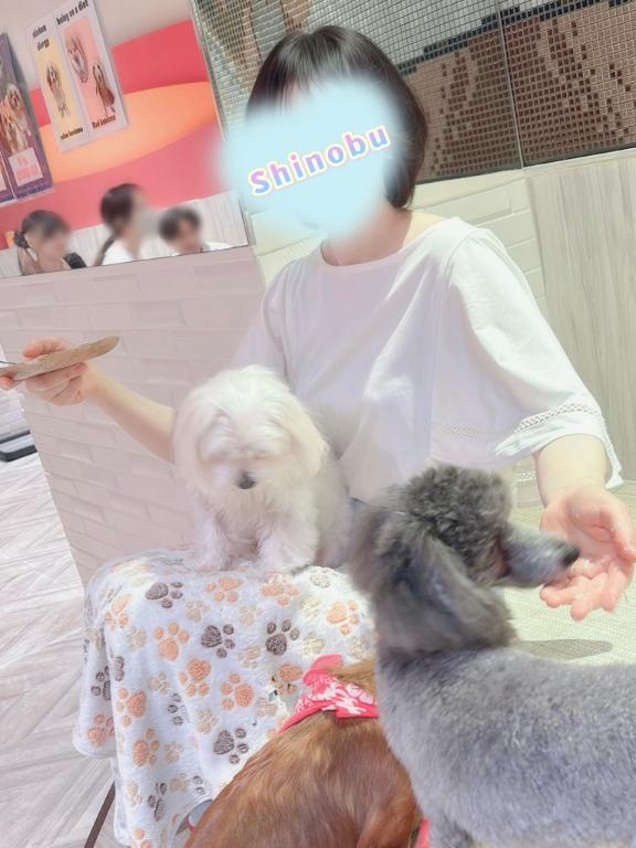 佐々木しのぶ の 灯台下暗しな件😇