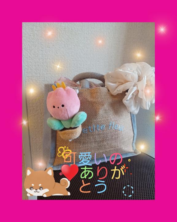 前田まみ の こんにちは♥️