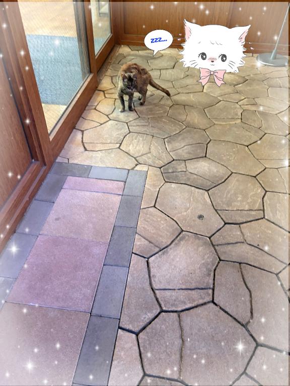ゆらら の 終了‼️