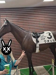 しゃあ