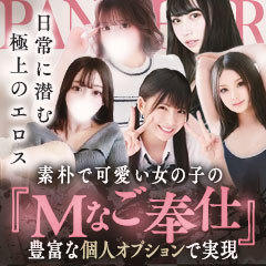 PANTHER（パンサー）