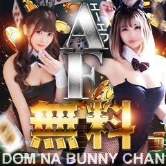 ドMなバニーちゃん すすきの店