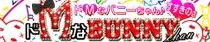 ドMなバニーちゃん すすきの店 10