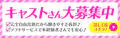 セレブリティコレクション~S級美人専門店~ 10