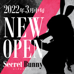 Secret Bunny