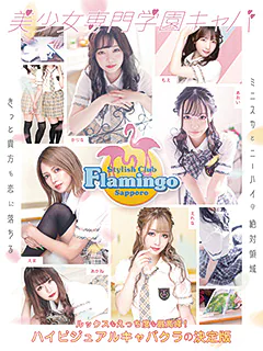 Flamingo