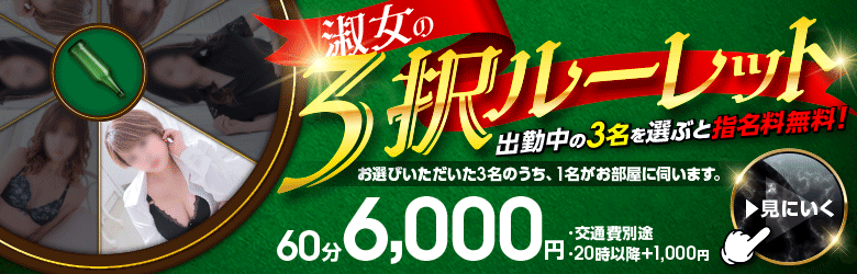 淑女の内緒のお遊び 6