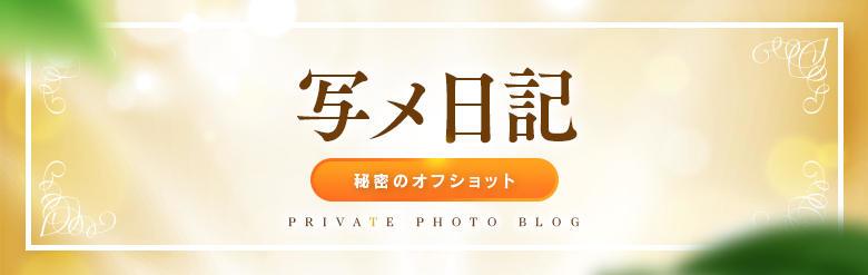 アルファローゼ 6