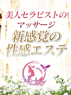 ハニートラップ 2