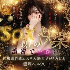 新ハイブリッドエステエクスタシーPlus