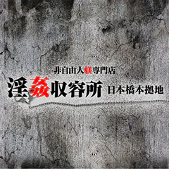 非自由人躾専門店 淫姦収容所日本橋本拠地 1
