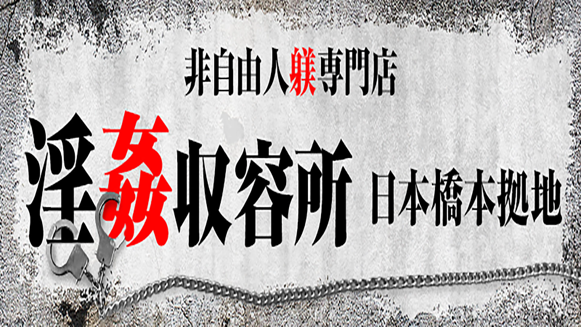 非自由人躾専門店 淫姦収容所日本橋本拠地 2