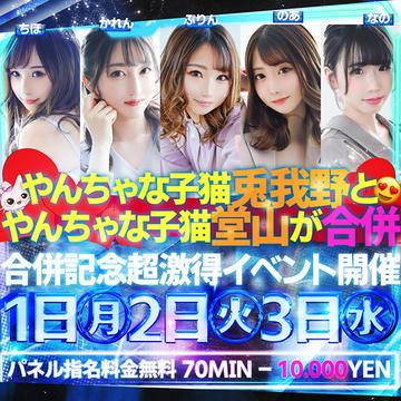 イベント やんちゃな子猫梅田堂山店 梅田 北新地 ホテヘル シティヘブンネット イベント やんちゃな子猫梅田堂山店 梅田 北新地 ホテヘル シティヘブンネット