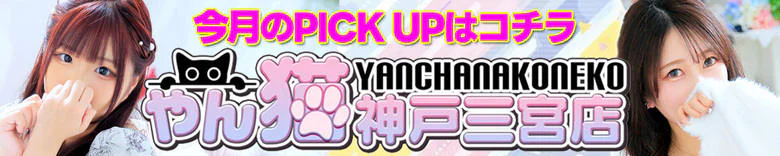 やんちゃな子猫神戸三宮店 4