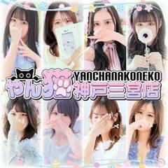 やんちゃな子猫神戸三宮店