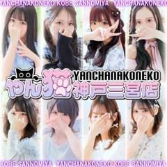 やんちゃな子猫神戸三宮店