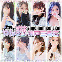 やんちゃな子猫神戸三宮店